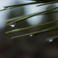 Rain Sounds, Sleep Rain, Rain Sounds & White Noise - 1 Hour of Rain Sounds and Relaxing Nature Sounds with White Noise for Zoning Out, Sleeping and Meditation