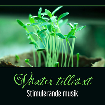 Various Artists - Växter tillväxt - Stimulerande musik, Instrumental zenmusik för perfekt effekt av regenerering av