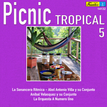 Varios Artistas - Picnic Tropical 5