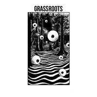 Grassroots - The Comedown