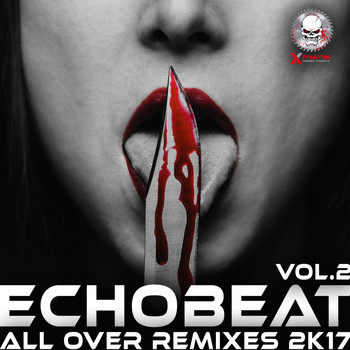 Echobeat - All Over Remixes 2k17, Vol. 2