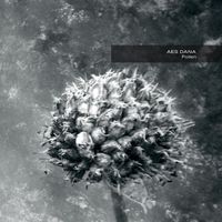 AES Dana - Pollen (2017 Remastered)