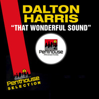 Dalton Harris - That Wonderful Sound