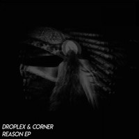 Droplex, Corner - Reason