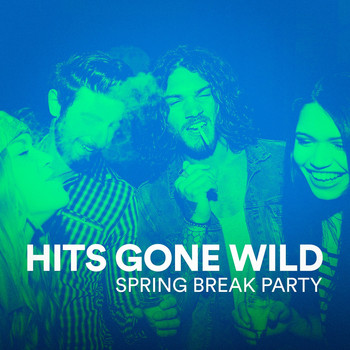 Partyhits, Spring Break, Spring Break DJ Party - Hits Gone Wild (Spring Break Party)