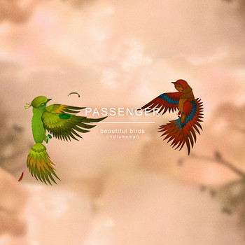 Passenger - Beautiful Birds (Instrumental)