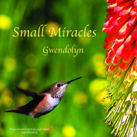 Gwendolyn - Small Miracles