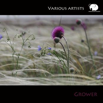 Various Artists - Grower