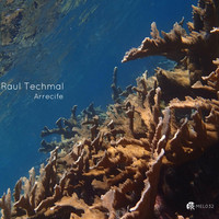 Raul Techmal - Arrecife