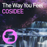 COSIDEE - The Way You Feel
