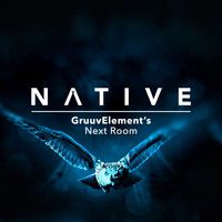 GruuvElement's - Next Room