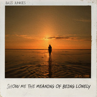 Bass Junkies - Show Me The Meaning Of Being Lonely