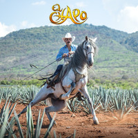 El Chapo - El Mago (Version Mariachi)