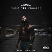 Ace Hood - Trust the Process (Explicit)