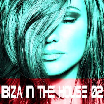 Various Artists - Ibiza in the House Vol.2