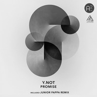 Y.NOT - Promise