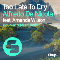 Alfredo De Nicola feat. Amanda Wilson - Too Late to Cry