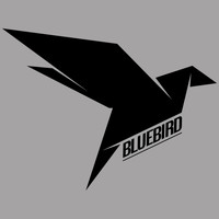 Bluebird - Ours to Protect