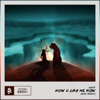 Savoy (feat. Roniit) - How U Like Me Now (feat. Roniit)