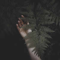 James Maloney - Angel Wings (Tontario Remix)