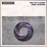 Red Pig Flower - Deep Whisper