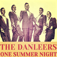 The Danleers - One Summer Night