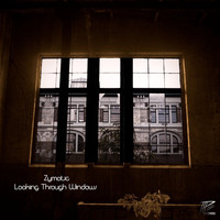 Zymotic - Looking Through Windows