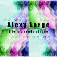 Alexy Large - Elle m'a rendu dingue