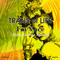 Trans Of Life - Foi Voce (Remix)