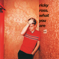 Ricky Ross - What You Are