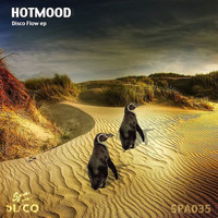 HOTMOOD - Disco Flow