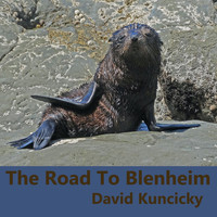 David Kuncicky - The Road to Blenheim