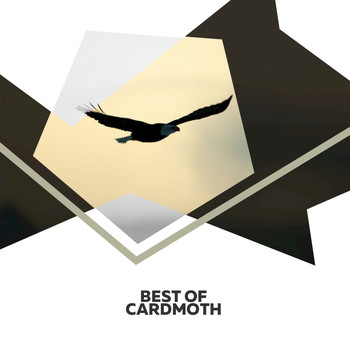 Cardmoth - Best Of