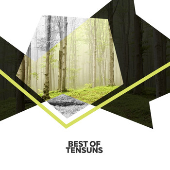 TenSuns - Best Of