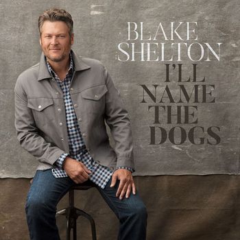 Blake Shelton - I'll Name the Dogs