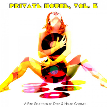Various Artists - Private House, Vol. 3 (A Fine Selection of Deep & House Grooves)