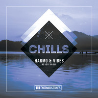 Harmo & Vibes - Never Know