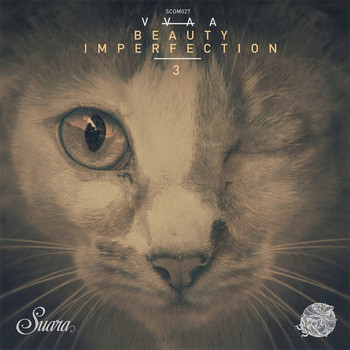 Various Artists - Beauty Imperfection 3
