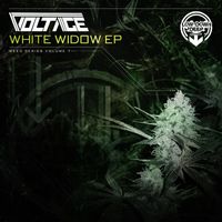 Voltage - White Widow