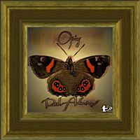 Opius - Red Admiral