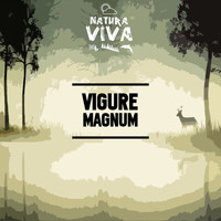 Vigure - Magnum