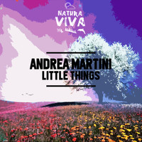 Andrea Martini - Little Things