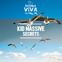 Kid Massive - Secrets