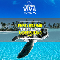 Emery Warman - Perfect Illusion