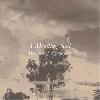 A Mending Soul - Moments of Significance