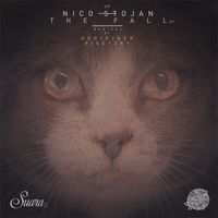 Nico Stojan - The Fall