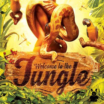 Various Artists - Welcome to the Jungle