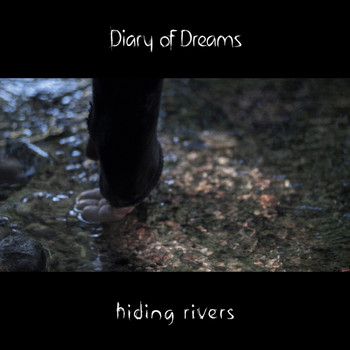 Diary of Dreams - Hiding Rivers