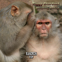 Ziggy Stardust - Whispering Monkeys