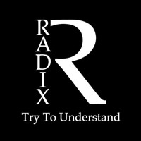 Radix - Try to Understand
